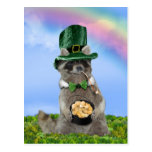St Patrick's Day - Lucky Raccoon Postcards