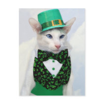 St Patrick's Day Postcard by Skeezix the Cat by knichols1109 St Patrick's Day Postcard by Skeezix the Cat