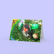St. Patrick's Day rat card