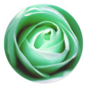 St. Patrick's Day stickers