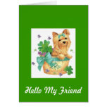St. Patricks Friends Cards