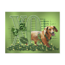 St Patricks - Me Lucky Charm - Dachshund - Abby Postcard
