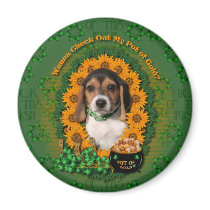 St Patricks - Pot of Gold - Beagle - Puppy Refrigerator Magnet