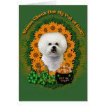 St Patricks - Pot of Gold - Bichon Frise Greeting Card