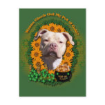 St Patricks - Pot of Gold - Pitbull - Jersey Girl Postcard