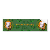 St Patricks - Pot of Gold - Pitbull - Petey Bumper Sticker