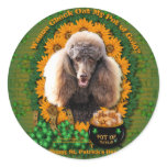 St Patricks - Pot of Gold - Poodle - Chocolate stickers