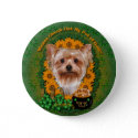 St Patricks - Pot of Gold - Yorkshire Terrier button