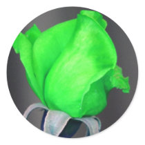 St. Patrick's Rose stickers by CyrScenes St. Patrick's Rose stickers