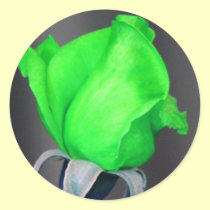 St. Patrick's Rose stickers
