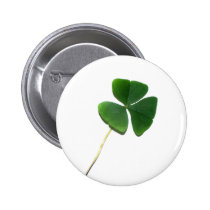 St. Patrick's Shamrock Pinback Button