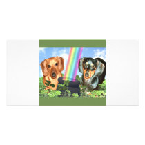 St Patricts Day Doxies photo cards by nnlightn St Patricts Day Doxies photo cards
