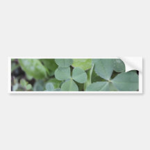 St Pattys Day Clover Mix Bumper Sticker