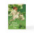 irish, lass, st., st, patricks, patrick's,