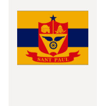 St. Paul T-shirt by FlagTshirts St. Paul T-shirt