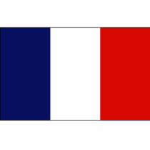 ST. PIERRE FLAG t-shirts