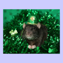 St. Rattie's Day - Rat Poster posters