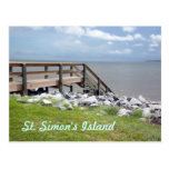 St. Simon's Island Travel Postcard