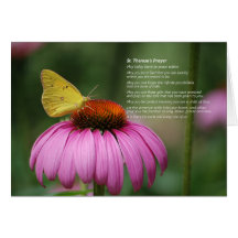 St. Theresa's Prayer card