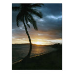 St. Thomas Sunset Postcard