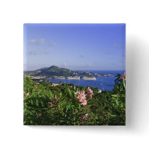 St. Thomas, US Virgin Islands. Charlotte Button