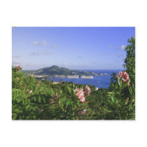 St. Thomas, US Virgin Islands. Charlotte Post Card