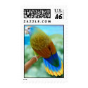 St Vincent Amazon Parrot Postage postage