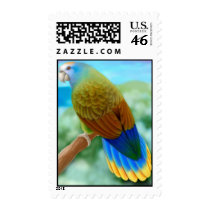 St Vincent Amazon Parrot Postage postage