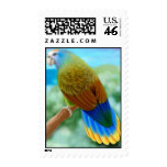 St Vincent Amazon Parrot Postage postage