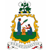 St. Vincent And Grenadines Coat of Arms T-shirt by FlagTshirts St. Vincent And Grenadines Coat of Arms T-shirt