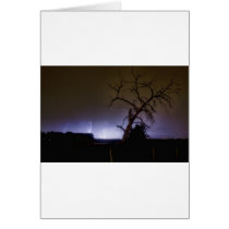St Vrain Tree Lightning Storm Cards
