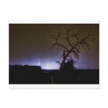 St Vrain Tree Lightning Storm Post Cards