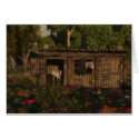 Stable cards
