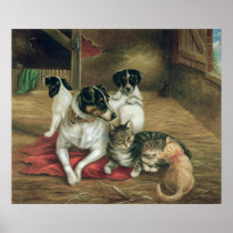 Stable friends print