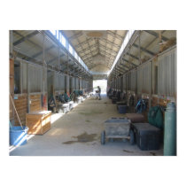 Stable Girl posters