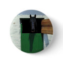 Stabled Horse with French Door buttons