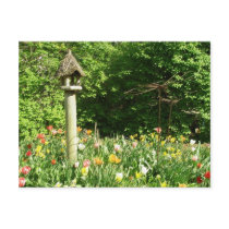 Stacey's Floral Design's Post Cards