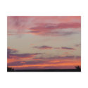 Stacey's Texas Sunset postcards