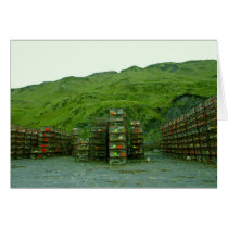 Stack of Commercial Crab Pots cards