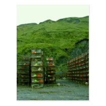 Stack of Commercial Crab Pots postcards