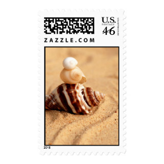 Stack of Conch Shells on the Beach Postage