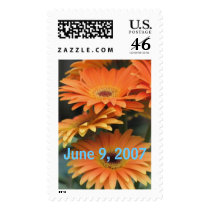 stacked-daisies, June 9, 2007 postage