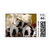 Stacked Skulls stamps