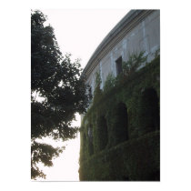 Stadium with Ivy and Tree posters
