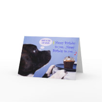 Staffordshire bull terrier birthday card