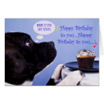 Staffordshire bull terrier birthday card