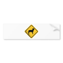 Staffordshire Bull Terrier Bumper Stickers