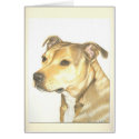 Staffordshire Bull Terrier cards by pencilpetportraits Staffordshire Bull Terrier cards
