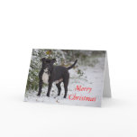 Staffordshire Bull Terrier cards