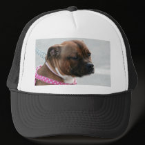 Staffordshire bull terrier hat hats